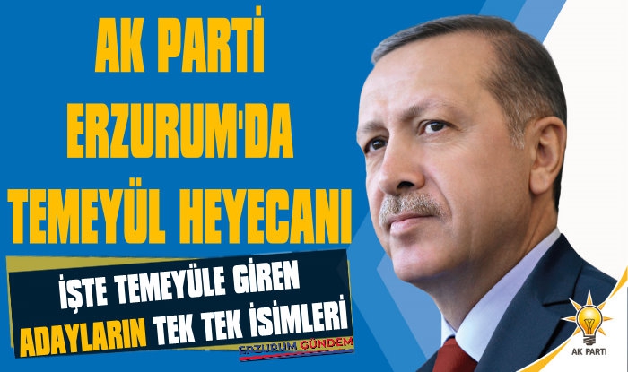 AK Parti Erzurum'da Temayül Heyecanı 