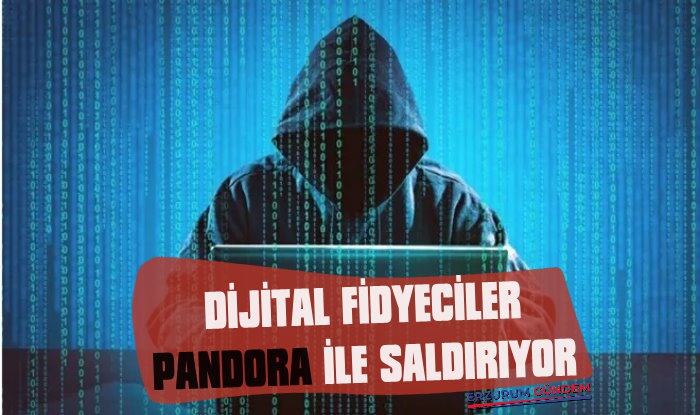 Dijital Fidyeciler Kurumlara 'Pandora' İle Saldırıyor