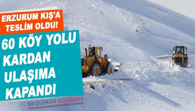 Erzurum'da 60 Köy Yolu Kardan Kapandı