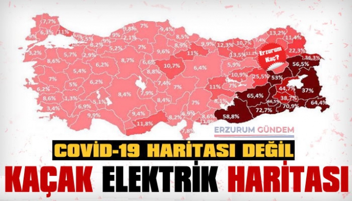 İşte Erzurum'da Kaçak Elektrik Kullanım Yüzdesi