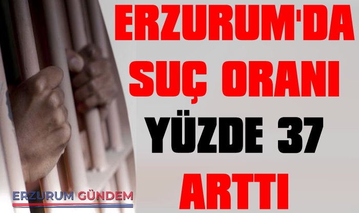 Erzurum'da Suç Sayısı Yüzde 37 Oranında Arttı