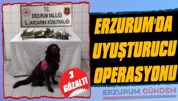 Erzurum'da Uyuşturucu Operasyonu: 3 Gözaltı