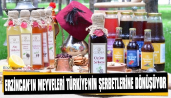 Erzincan'ın Meyveleri Türkiye'nin Şerbetine Dönüşüyor