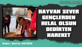 Erzurum'da Hayvan Sever Gençlerden Takdirlik Hizmet