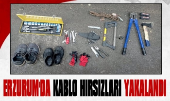 Erzurum'da Kablo Hırsızları Yakalandı