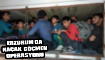 Erzurum'da Kaçak Göçmenler Yakalandı