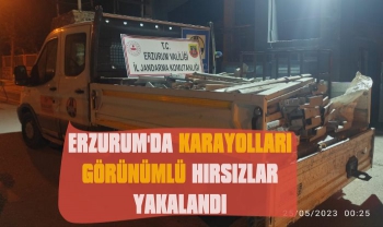 Erzurum'da Karayolları Görünümlü Hırsızlar Yakalandı