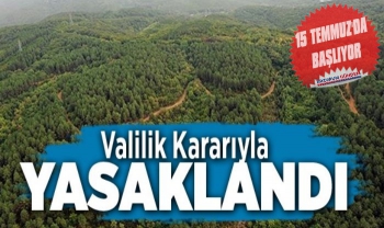 Erzurum'da Ormanlık Alanlara Girişler Yasaklandı