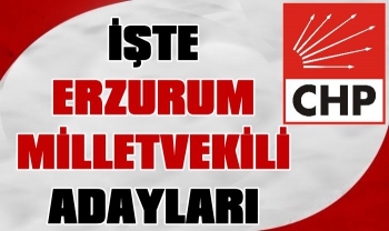 İşte CHP'nin Erzurum Milletvekili Aday Listesi