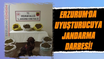 Erzurum'da Uyuşturucuya Jandarma Darbesi